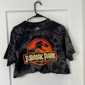 Jurassic Park tie dye crop top
